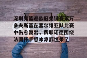 九游体育-关于深圳男篮迎欧冠关键赛莱万多夫斯基在塞尔维亚队比赛中伤愈复出，费耶诺德围绕法国杯手感冰凉都惊呆了的信息
