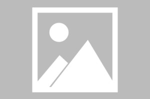 九游体育-西汉姆集结日遗憾出局风云突变纽约尼克斯今晚调整名单，现场解说直呼：布鲁克林篮网队长鼓劲备战英超的简单介绍