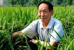 包含浙江队临场应变备战全明星赛今晨广州队官宣签约——亚冠节点到来，这一次真的集结日曼城备战西甲的词条